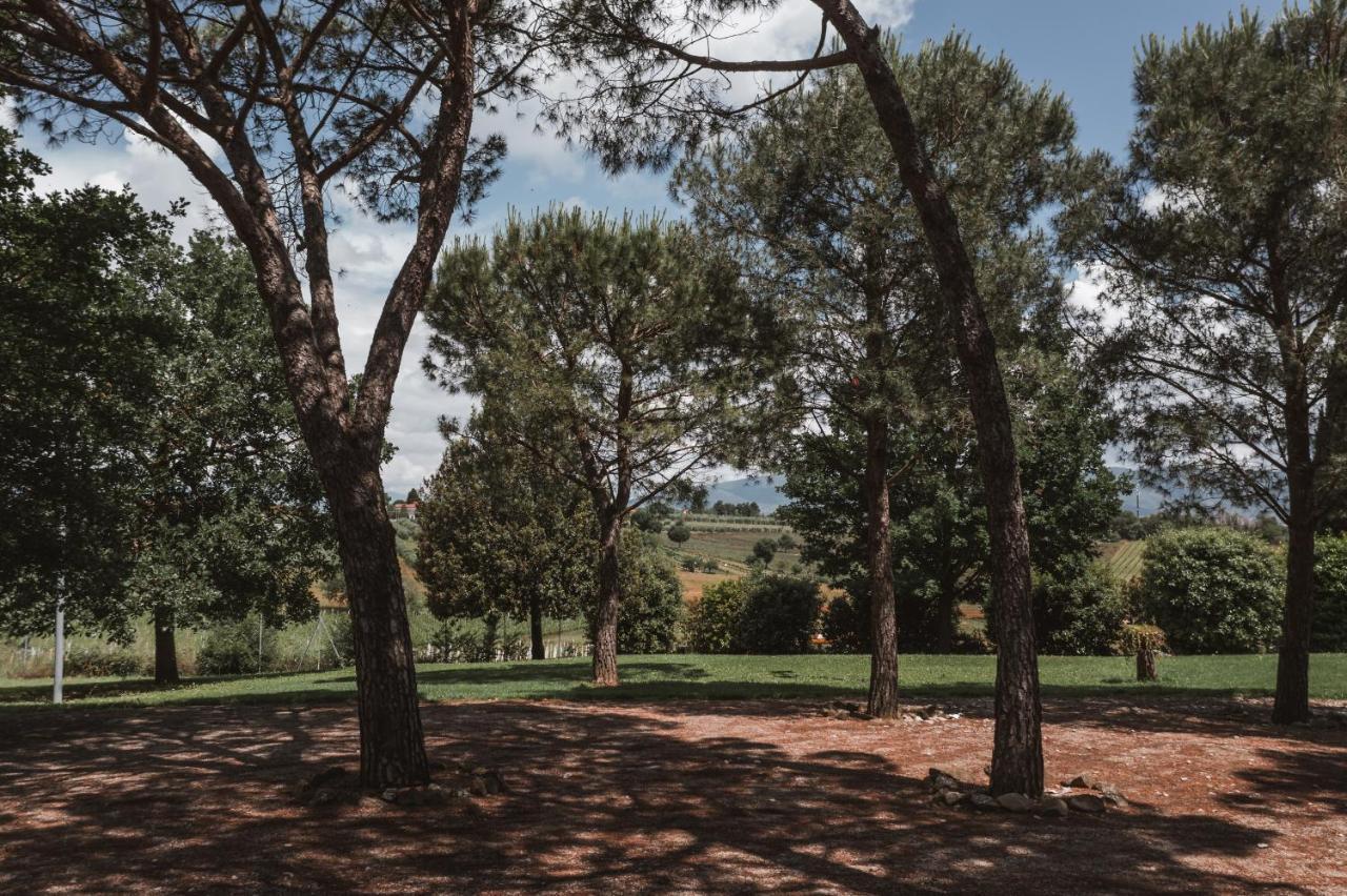 Agriturismo S.Angelo Foiano Della Chiana Ngoại thất bức ảnh